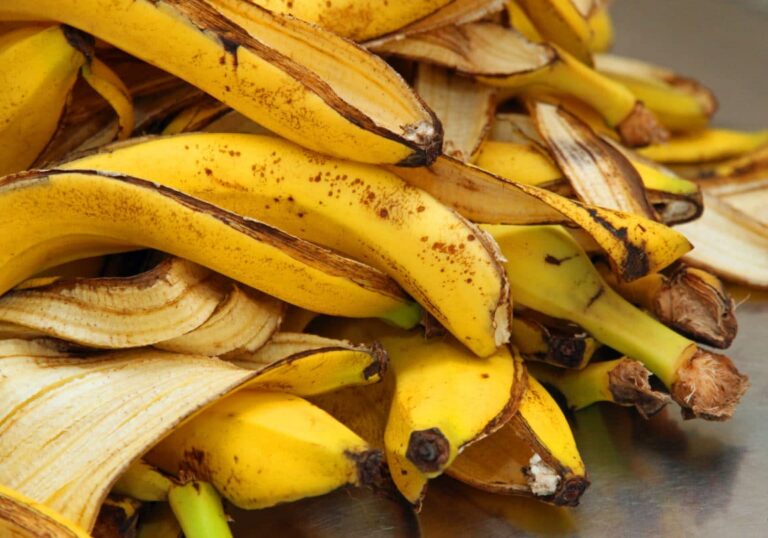 5 maneras de utilizar las pieles de plátano en el jardín