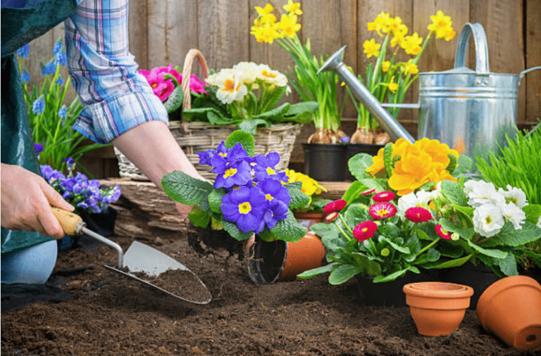 10 consejos naturales para mantener tu jardín
