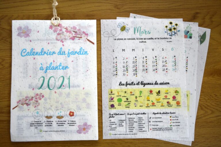 Idea genial: ¡este calendario de jardín se puede plantar y da vida a flores, frutas y verduras!