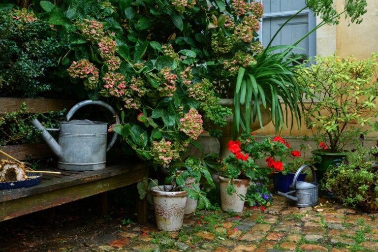 ¿Cómo regar su jardín de forma eficaz?