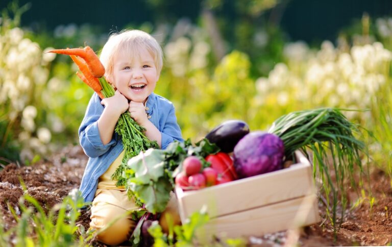 Jardinería con tus hijos: una actividad divertida para crear tu primer huerto