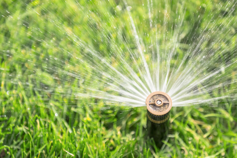 Nuestro consejo para elegir el mejor sistema de riego para tu jardín