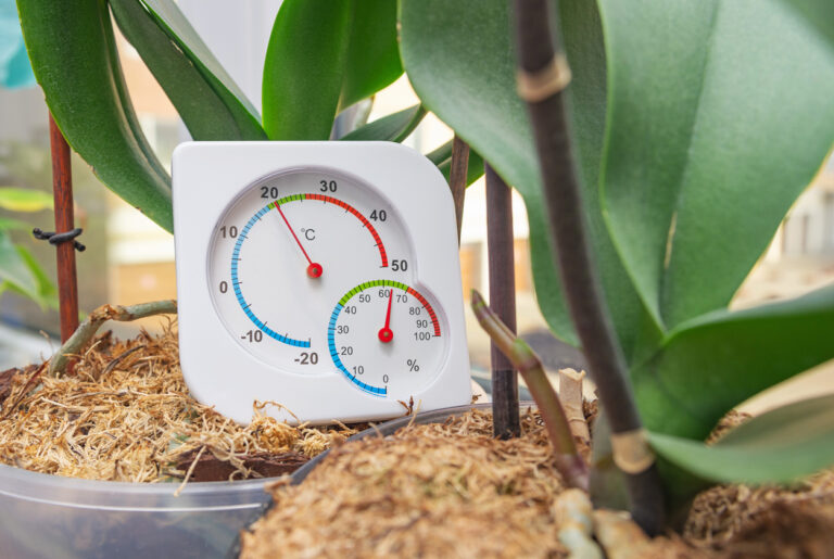 Higrómetro de jardín: ¿cómo funciona y cómo utilizarlo?