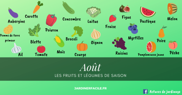Frutas y verduras del mes de agosto