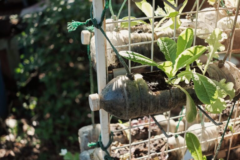 Huerto vertical: ¡cultiva tus frutas y verduras incluso en un jardín pequeño!