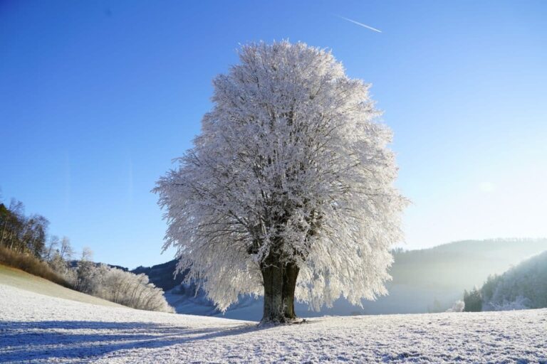 20 paesaggi innevati per far brillare gli occhi degli amanti dell’inverno