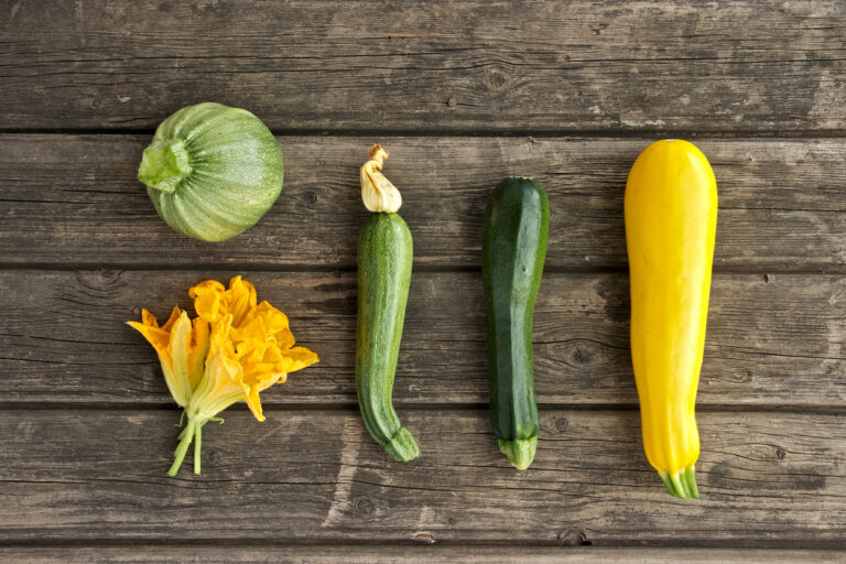 6 varietà di zucchine da coltivare nel tuo giardino!