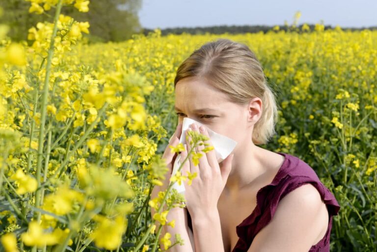 Allergia ai pollini: dobbiamo ripensare le nostre piantagioni urbane?