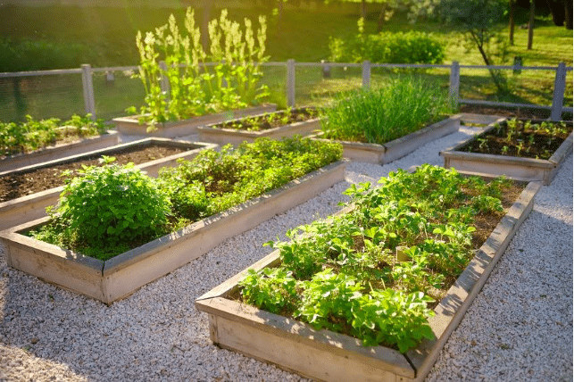Come iniziare il tuo giardino?