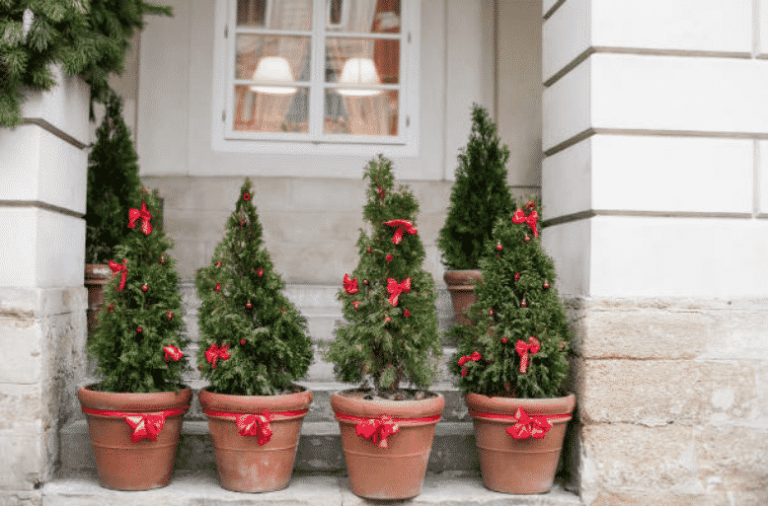 Giardino di Natale: 15 idee per decorare l’esterno della tua casa