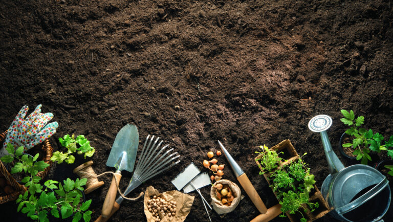 I 6 strumenti essenziali per prendersi cura di un giardino