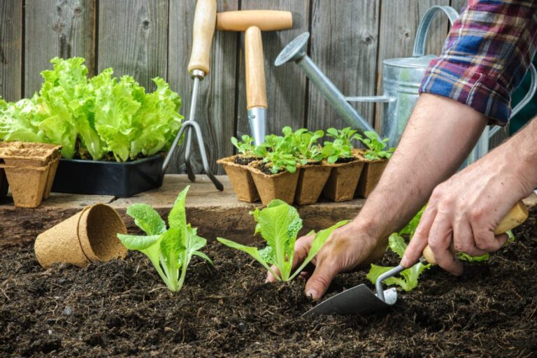 5 strumenti essenziali per la cura del tuo giardino