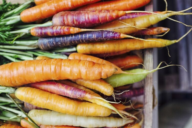Quali sono i vantaggi delle carote?