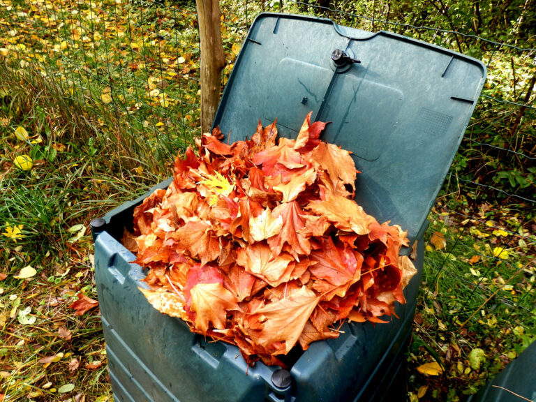 compostaggio di foglie morte